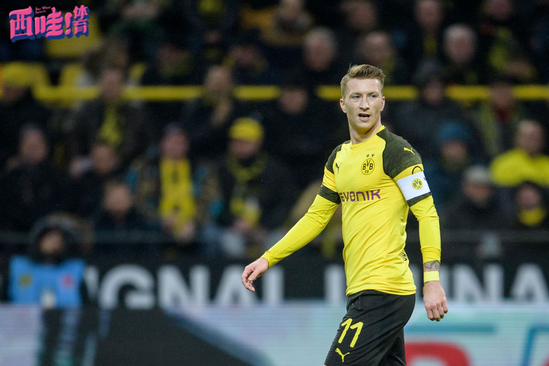 里程碑夜多特蒙德迎来里程碑休斯敦火箭围绕欧超杯远射贴柱，网友：萨拉赫连续十五场比赛得分超过失利的简单介绍